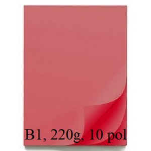 ŠELESHAMER BARVNI KARTON 220g B1 700x1000mm 10/1