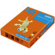PAPIR BARVNI IQ COLOR A4 160g INTENZIV ORANŽNA OR43 250/1