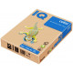 PAPIR BARVNI IQ COLOR A4 160g PASTELNO LOSOS SA24 250/1