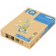 PAPIR BARVNI IQ COLOR A4 80g TREND ZLAT GO22 500/1