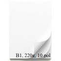 KARTON ŠELESHAMER 220g B1 700x1000mm BEL HW900 10/1