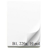 ŠELESHAMER KARTON 220g B1 700x1000mm BEL HW900 10/1