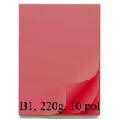 ŠELESHAMER BARVNI KARTON 220g B1 700x1000mm 10/1