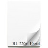 KARTON ŠELESHAMER 220g B1 700x1000mm BEL HW900 10/1