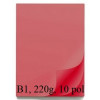 KARTON BARVNI ŠELESHAMER 220g B1 700x1000mm 10/1