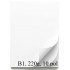 ŠELESHAMER KARTON 220g B1 700x1000mm BEL HW900 10/1