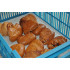 HAVANA PAPIR 50g 40x50cm BEL 10kg (1000 POL)